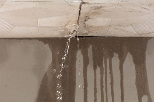 Professional Structural Drying technician working in Caldwell, TX